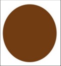 Polarized Lens Colors
