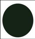 Tinted Lens Colors