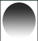 Tinted Lens Colors