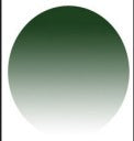 Tinted Lens Colors