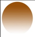 Tinted Lens Colors