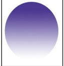 Tinted Lens Colors