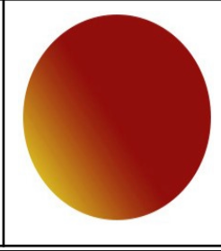 1.56 Single Vison Polarized Lenses