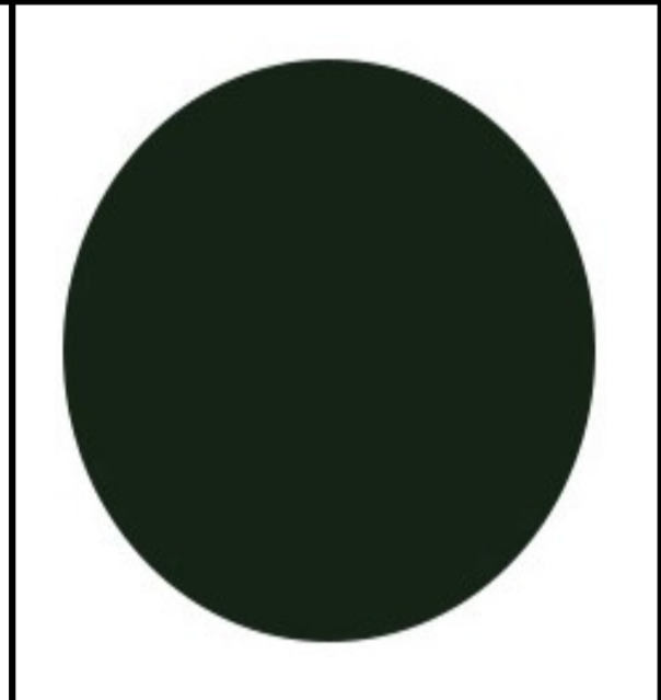 1.56 Single Vison Polarized Lenses