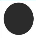 1.56 Single Vison Polarized Lenses