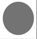 1.56 Single Vison Polarized Lenses