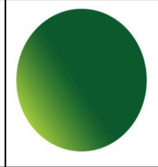 Polarized Lens Colors